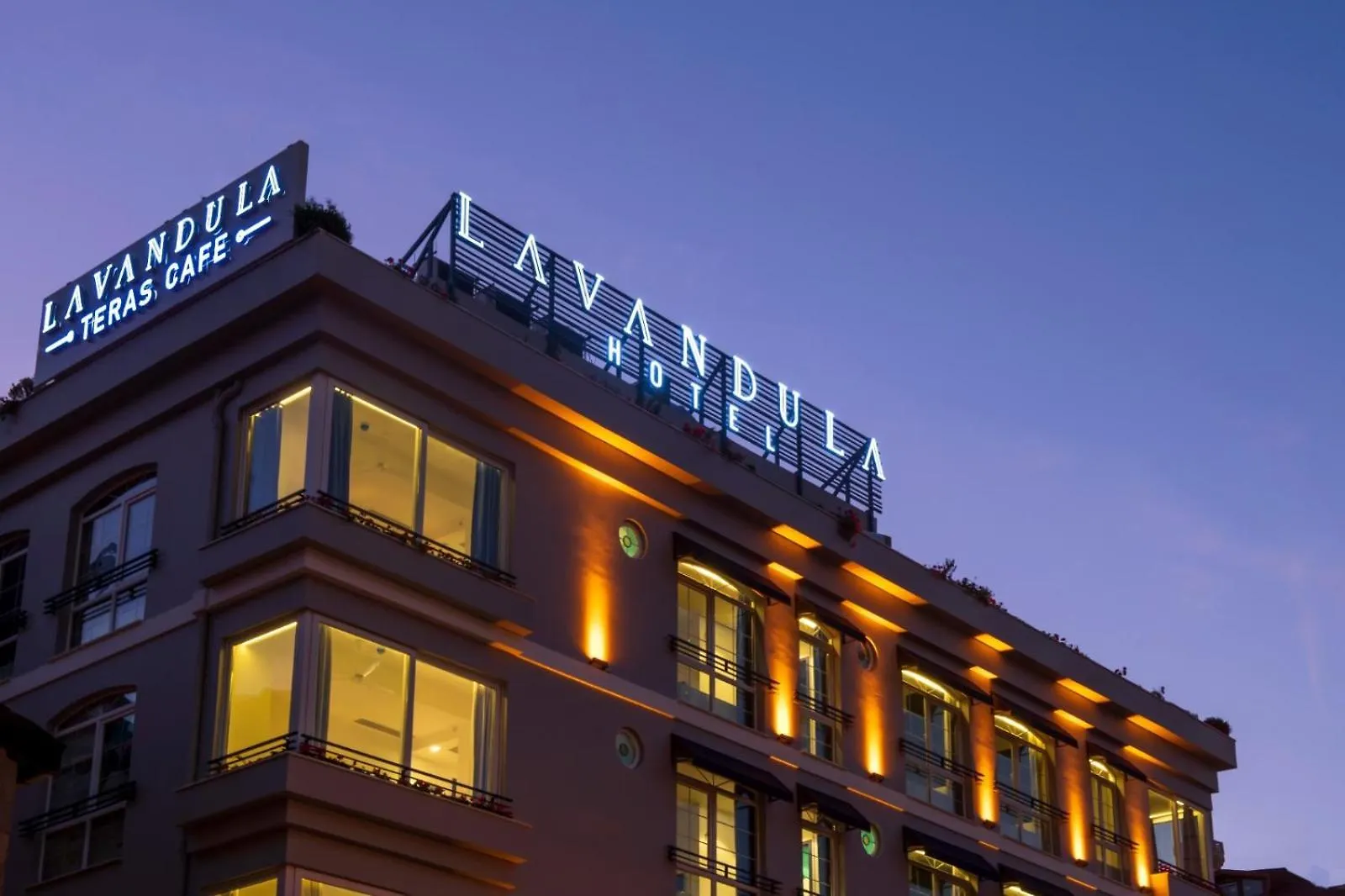 Levent Lavandula Hotel contacts
